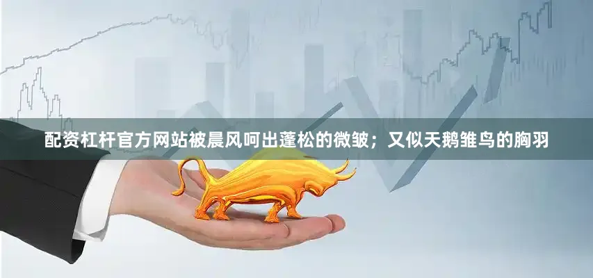 配资杠杆官方网站被晨风呵出蓬松的微皱；又似天鹅雏鸟的胸羽