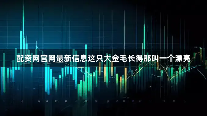 配资网官网最新信息这只大金毛长得那叫一个漂亮