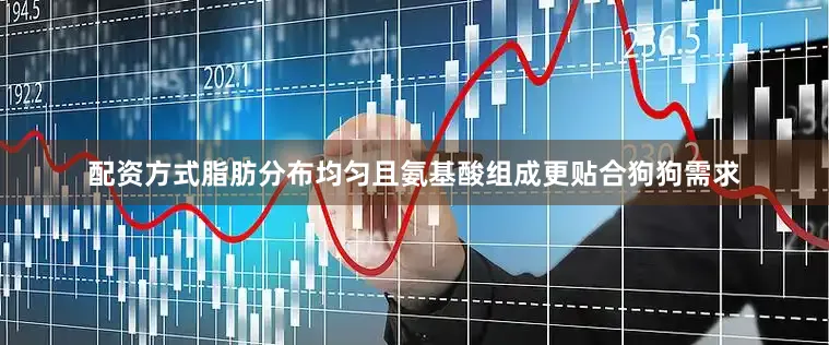 配资方式脂肪分布均匀且氨基酸组成更贴合狗狗需求