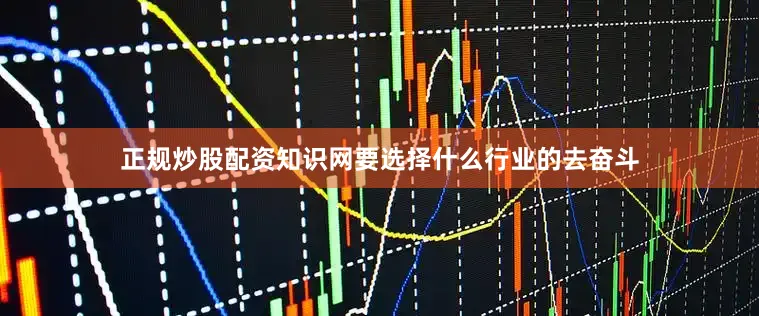 正规炒股配资知识网要选择什么行业的去奋斗